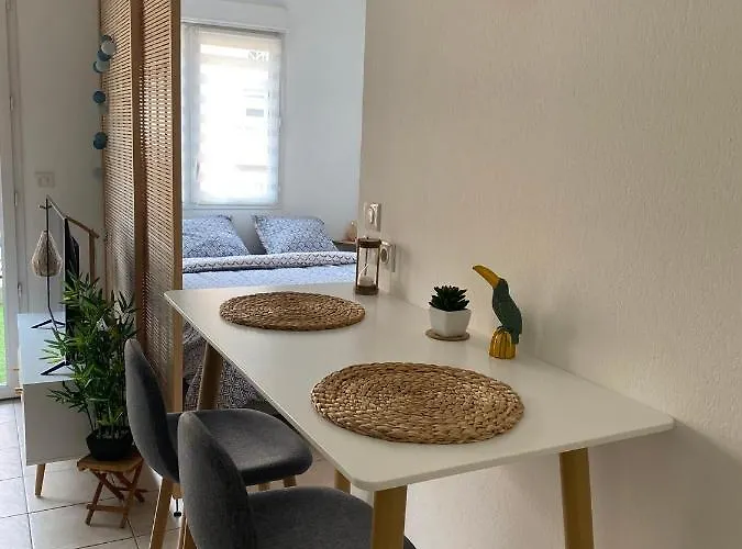 Cosy Equipe 30m2 شقة *